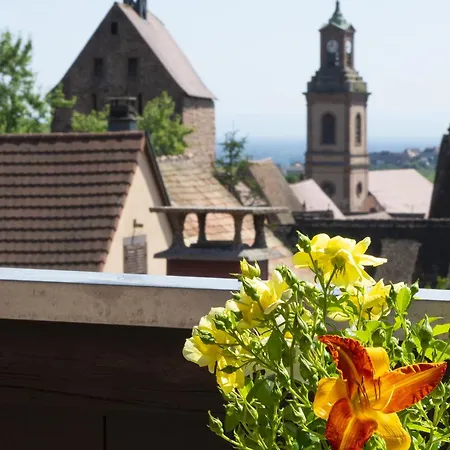 Riesling - Vue Imprenable Sur Le Vignoble - Renove Recemment - Parking Gratuit Appartement Riquewihr Buitenkant foto