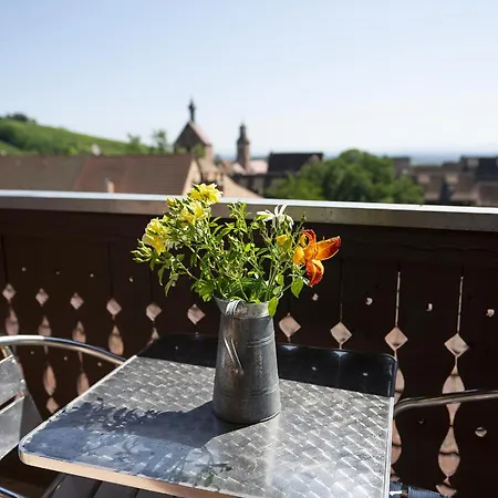 Riesling - Vue Imprenable Sur Le Vignoble - Renove Recemment - Parking Gratuit Appartement Riquewihr Buitenkant foto