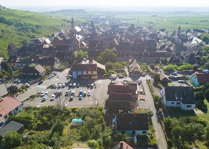 Riesling - Vue Imprenable Sur Le Vignoble - Renove Recemment - Parking Gratuit