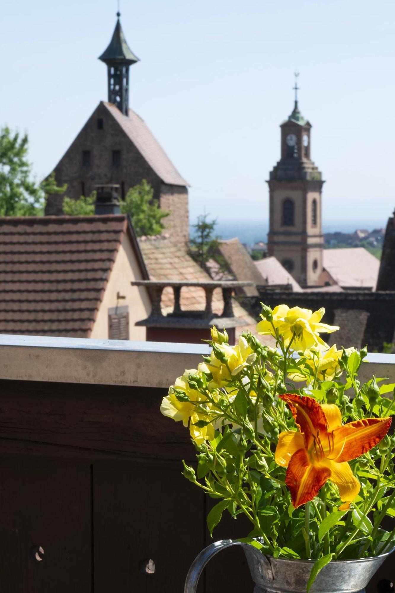 Riesling - Vue Imprenable Sur Le Vignoble - Renove Recemment - Parking Gratuit Riquewihr